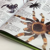 《DK动物百科系列：虫》 商品缩略图6
