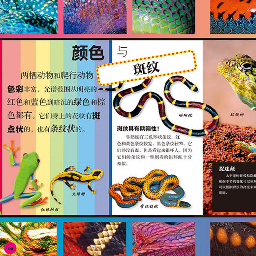 《DK动物百科系列》(全7册) 商品图8