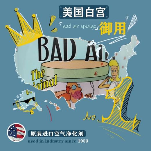 【中欧班列精选2盒】美国空气净化清新剂 原装进口 Bad Air Sponge室内装修去味汽车除甲醛400g/盒 商品图3