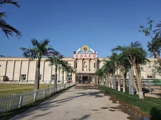 《少年 · 骑警》 | 全装备战术特训 + 专业马术训练+枪械拆解挑战赛 商品图4