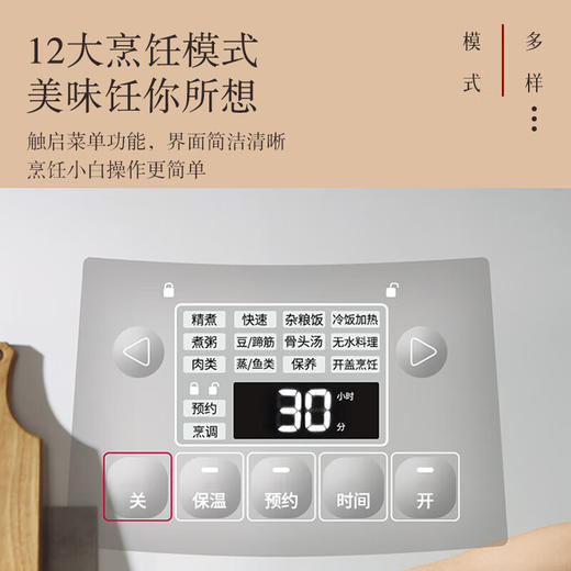 松下（Panasonic）迷你电压力锅  2L  SR-PB201 商品图3