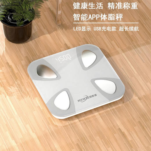 KOOKZZ酷客者  智能体脂秤   C30 商品图1