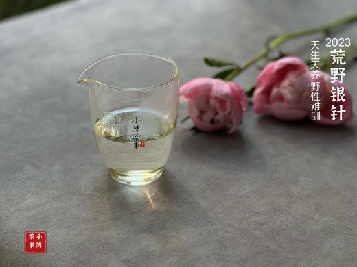 【2023春茶来了】2023荒野银针，更野、更鲜、更嫩，粗看之下还以为是荒野米针 商品图12