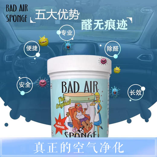 【中欧班列精选2盒】美国空气净化清新剂 原装进口 Bad Air Sponge室内装修去味汽车除甲醛400g/盒 商品图1