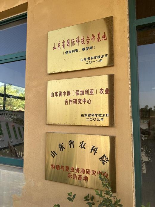 必囤NO1!【陪伴到老!含有精油的大马士革玫瑰纯 露】最顶级的食用玫瑰，4斤鲜花1斤水蒸馏萃取。 保加利亚官方合作基地纯种种苗，自然农法种植， 桃花源中有玫瑰! 商品图12