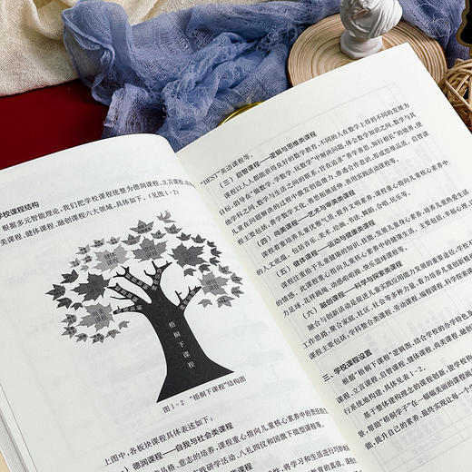 学校课程的统整之道 课程统整 小学案例 刘喜红 商品图7