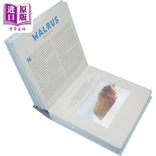 【中商原版】光与影视觉书系列2册 英文原版 A Photicular Book 会动的3D立体图片书 纽约时报畅销书 极地Polar 陆地Outback 商品图8