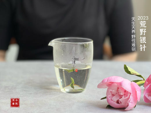 【2023春茶来了】2023荒野银针，更野、更鲜、更嫩，粗看之下还以为是荒野米针 商品图13