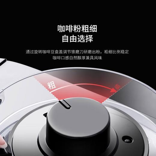 摩飞电器（Morphyrichards） 家用美式全自动咖啡机研磨滴漏式带真空保温壶MR1103 标准版 商品图3