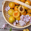 生态珍珠油杏| 合作生产 *Eco Pearl Apricot | Coprodution 商品缩略图2
