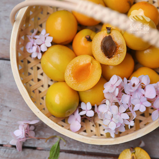 生态珍珠油杏| 合作生产 *Eco Pearl Apricot | Coprodution 商品图2