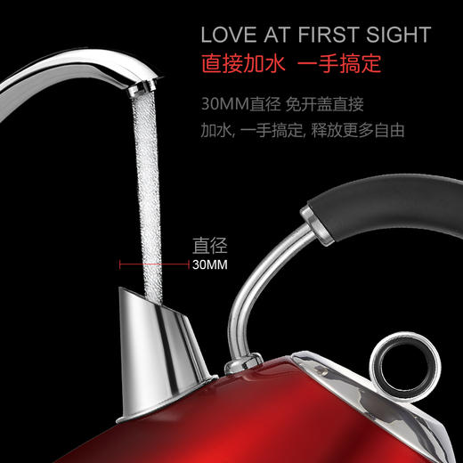 摩飞（Morphyrichards）电热水壶 进口304不锈钢烧水壶MR7076A 1.5L电水壶 商品图2