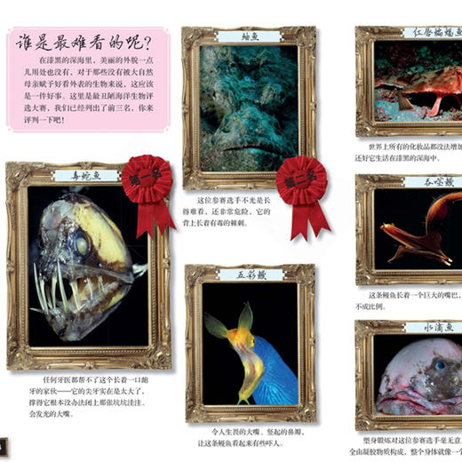 《DK动物百科系列：鱼和其他海洋生物》 商品图3
