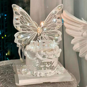 庄周梦蝶-网红生日蛋糕