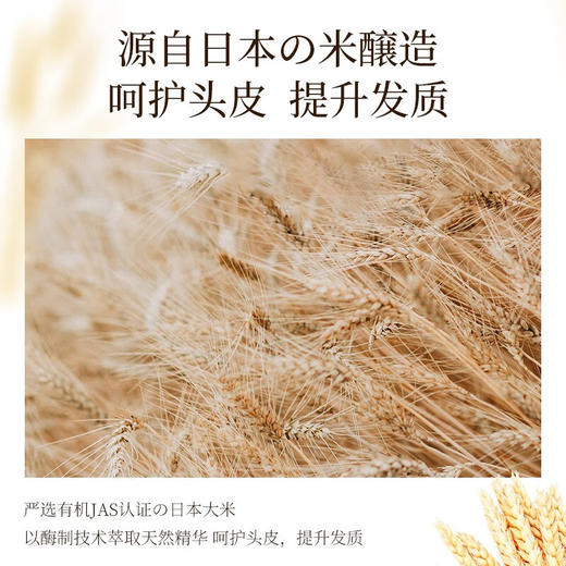浅香（ASAKA）米酿氨基酸系列  洗发护发 商品图5