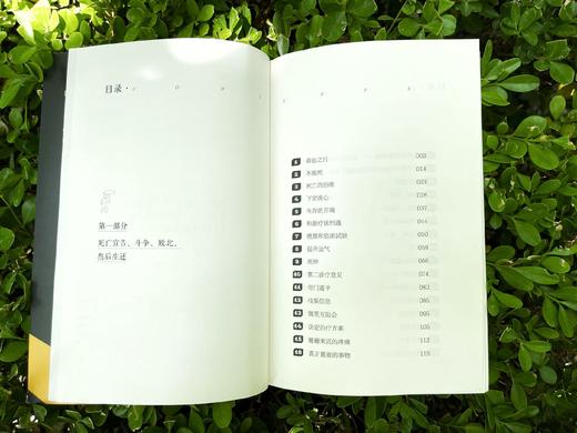 我战胜了癌症 商品图4