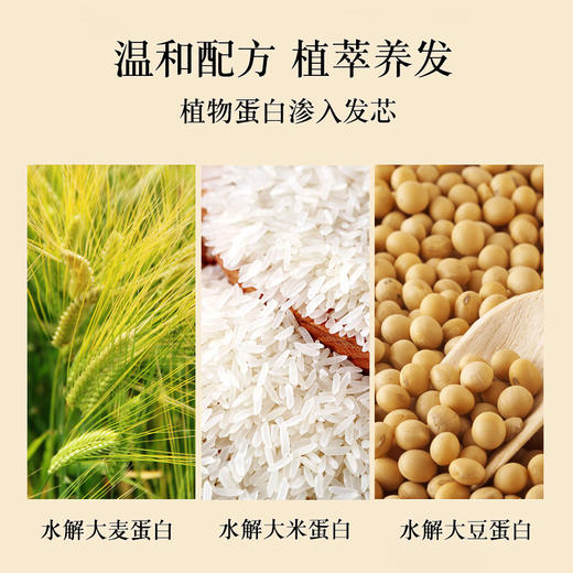 浅香（ASAKA）米酿氨基酸滢采发膜  顺滑留香护发素 200ml 商品图4