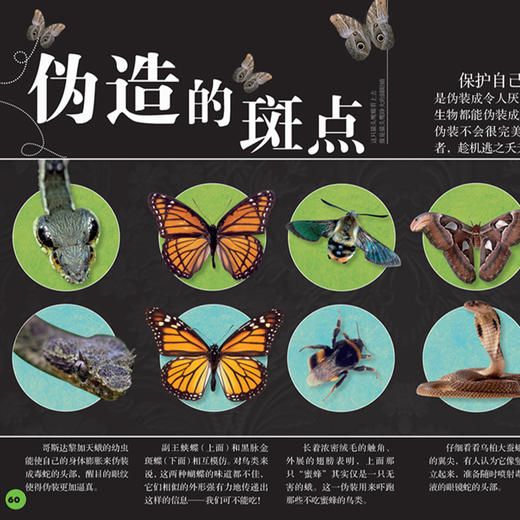 《DK动物百科系列：虫》 商品图2