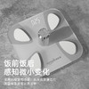 KOOKZZ酷客者  智能体脂秤   C30 商品缩略图3