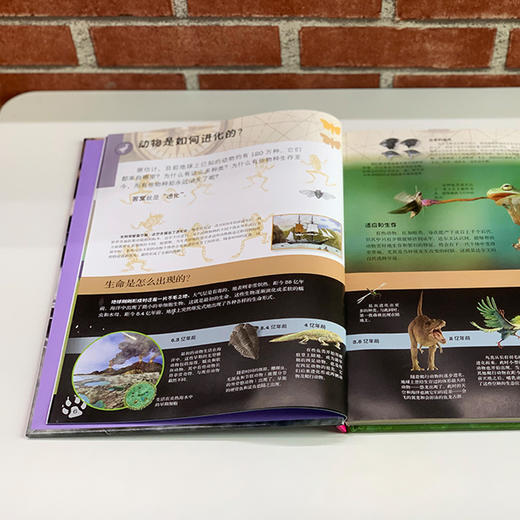 《DK动物百科系列：濒危动物》 商品图8