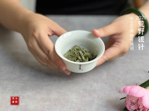 【2023春茶来了】2023荒野银针，更野、更鲜、更嫩，粗看之下还以为是荒野米针 商品图8