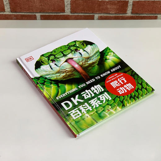 《DK动物百科系列：爬行动物》 商品图9