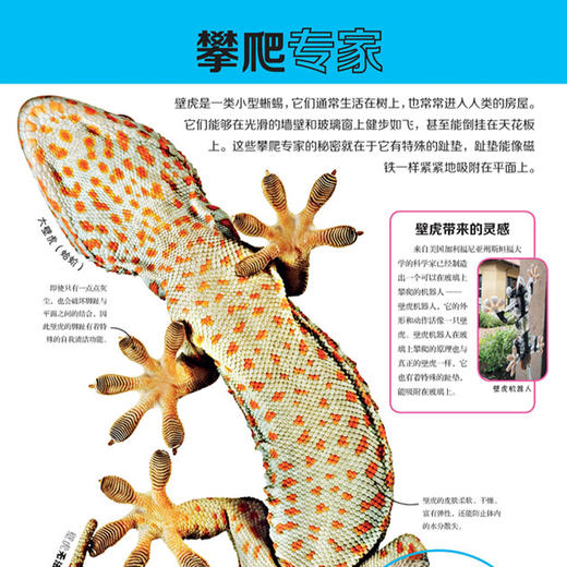 《DK动物百科系列：爬行动物》 商品图4