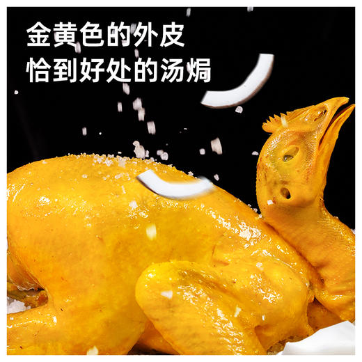 【买一送一】海南椰肉盐焗鸡700g/只*2 京东/顺丰包邮 FX-A-2393 商品图6