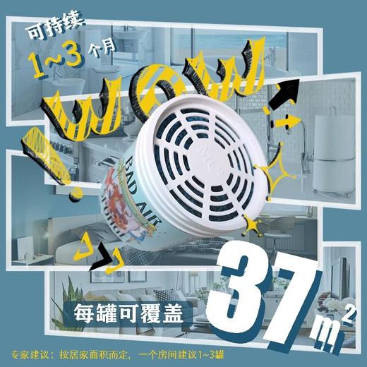 【中欧班列精选2盒】美国空气净化清新剂 原装进口 Bad Air Sponge室内装修去味汽车除甲醛400g/盒 商品图2