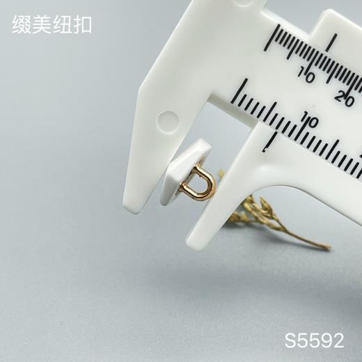 S5592(整包购买) 商品图4