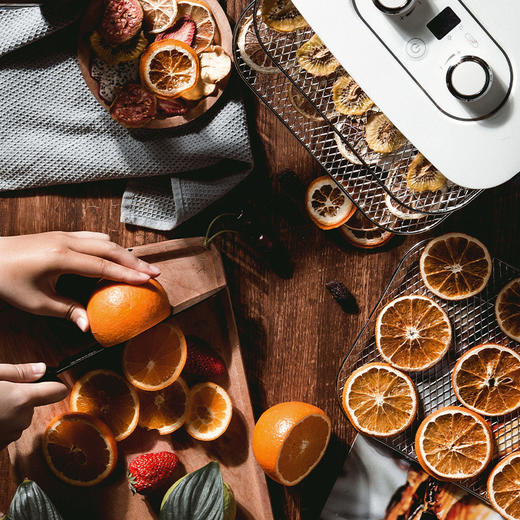 摩飞电器（Morphyrichards）MR6255干果机料理机风干果汁机家用水果蔬菜肉类脱水机干燥机 商品图3