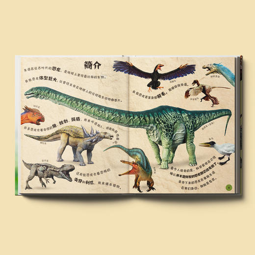 《DK动物百科系列》(全7册) 商品图3