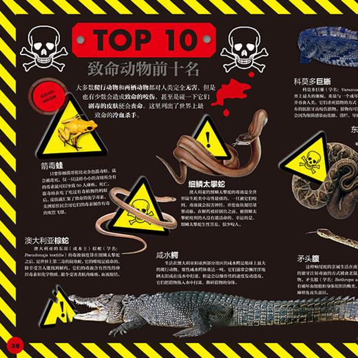 《DK动物百科系列：两栖爬行动物》 商品图3