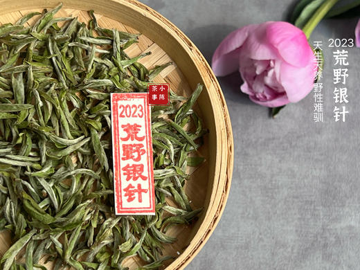 【2023春茶来了】2023荒野银针，更野、更鲜、更嫩，粗看之下还以为是荒野米针 商品图0