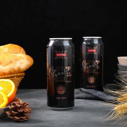 【500ml*12罐装】轩博 黄金版精酿啤酒 500ml1瓶，色泽金黄 醇正浓郁 商品图12