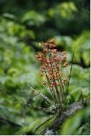 九龙居民宿酒店半价券1张 商品图3