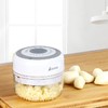 艾贝丽 蒜蓉机SR01 白色 商品缩略图1