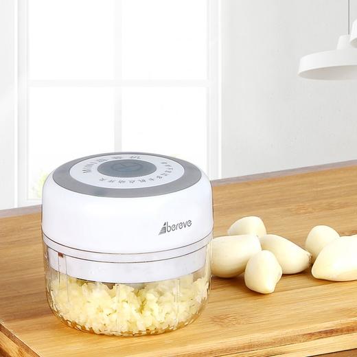 艾贝丽 蒜蓉机SR01 白色 商品图1