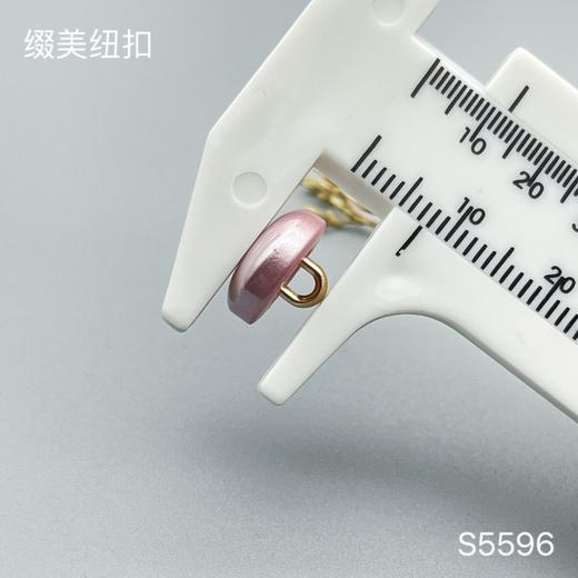 S5596(整包购买) 商品图5