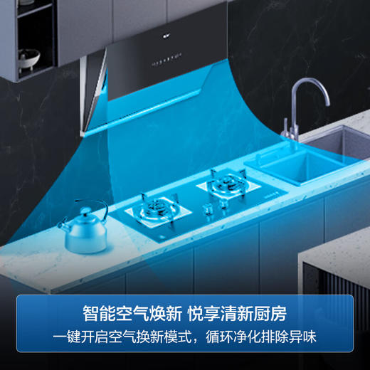 海尔（Haier） 23立方 聚能吸系列 一键热熔自清洁 手势控制 智能空气换新  抽油烟机 侧吸家用 550pa 智能手势控制 热熔洗油烟机EC909 商品图5