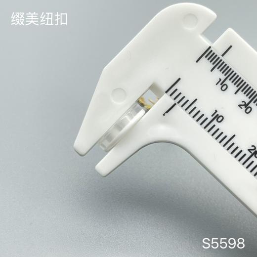 S5598(整包购买) 商品图6