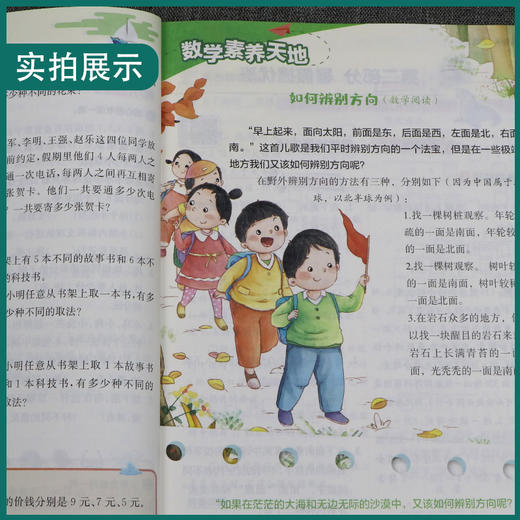 【2025小学暑假衔接】语文/数学/英语 人教/苏教/北师大/译林版/青岛版 一二三四五六年级 123456年级 商品图2