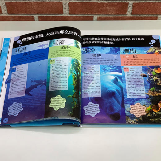 《DK动物百科系列：鱼和其他海洋生物》 商品图8