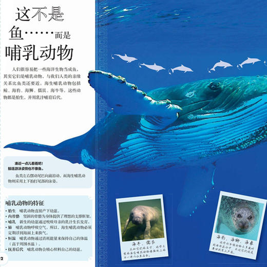 《DK动物百科系列：鱼和其他海洋生物》 商品图2