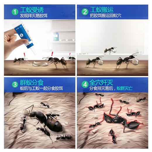 拜耳（BAYER）拜灭士易杀蚁胶饵    家用杀蚁胶饵 商品图5