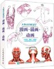 人体动态解剖学 漫画 插画 动画 [日] 岩崎小太郎 人民邮电出版社  9787115421494 商品缩略图0