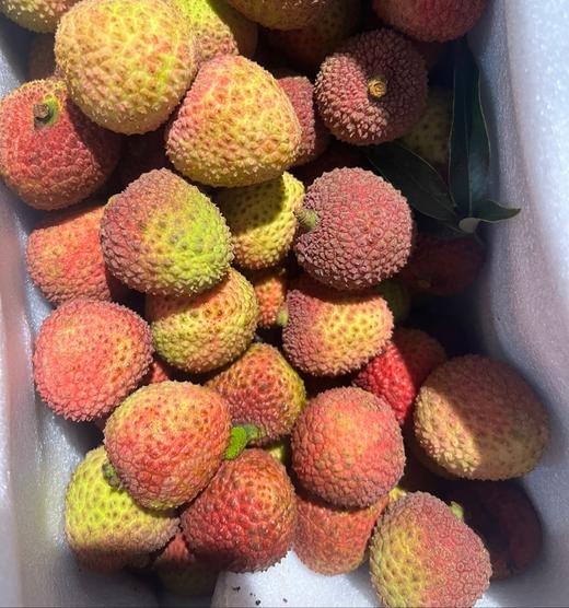 你的荔枝妃子笑（礼盒装）【吃海茫茫，树熟荔枝，如冰淇淋般融化在舌尖】 商品图1