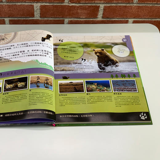《DK动物百科系列：濒危动物》 商品图7