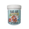 【中欧班列精选2盒】美国空气净化清新剂 原装进口 Bad Air Sponge室内装修去味汽车除甲醛400g/盒 商品缩略图5