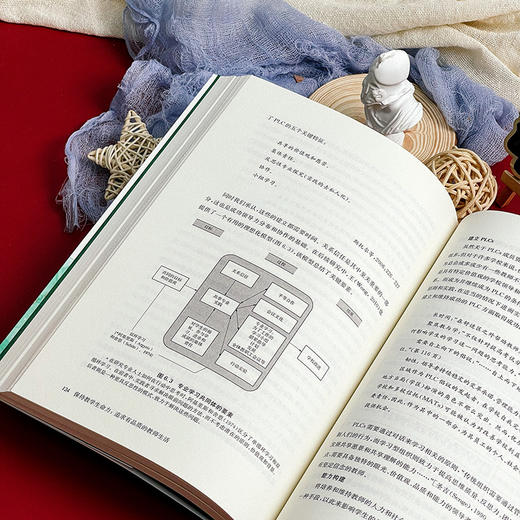 保持教学生命力 追求有品质的教师生活 学校变革与教师发展丛书 商品图10